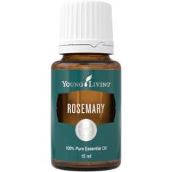 Rozmaring (Rosemary)